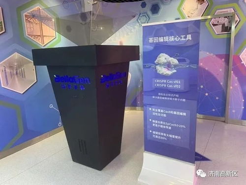 濟南高新技術產業(yè)開發(fā)區(qū)管理委員會 文明實踐 政策帶動與技術創(chuàng)新賦能種源安全 濟南高新區(qū)政企聯動支撐濟南打造 種業(yè)之都